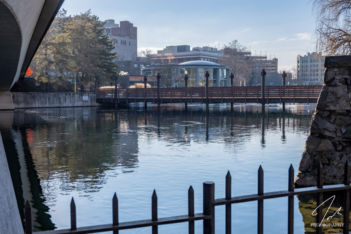 a photoshopped image of a rubber duck on the Spokane River in Riverfront Park